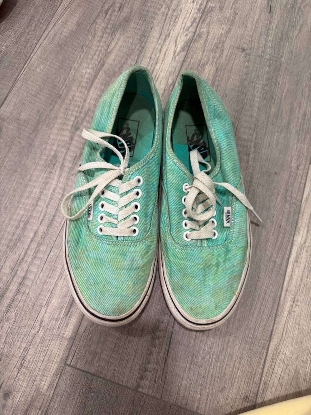Vans Low Top Sneakers in Mint Teal